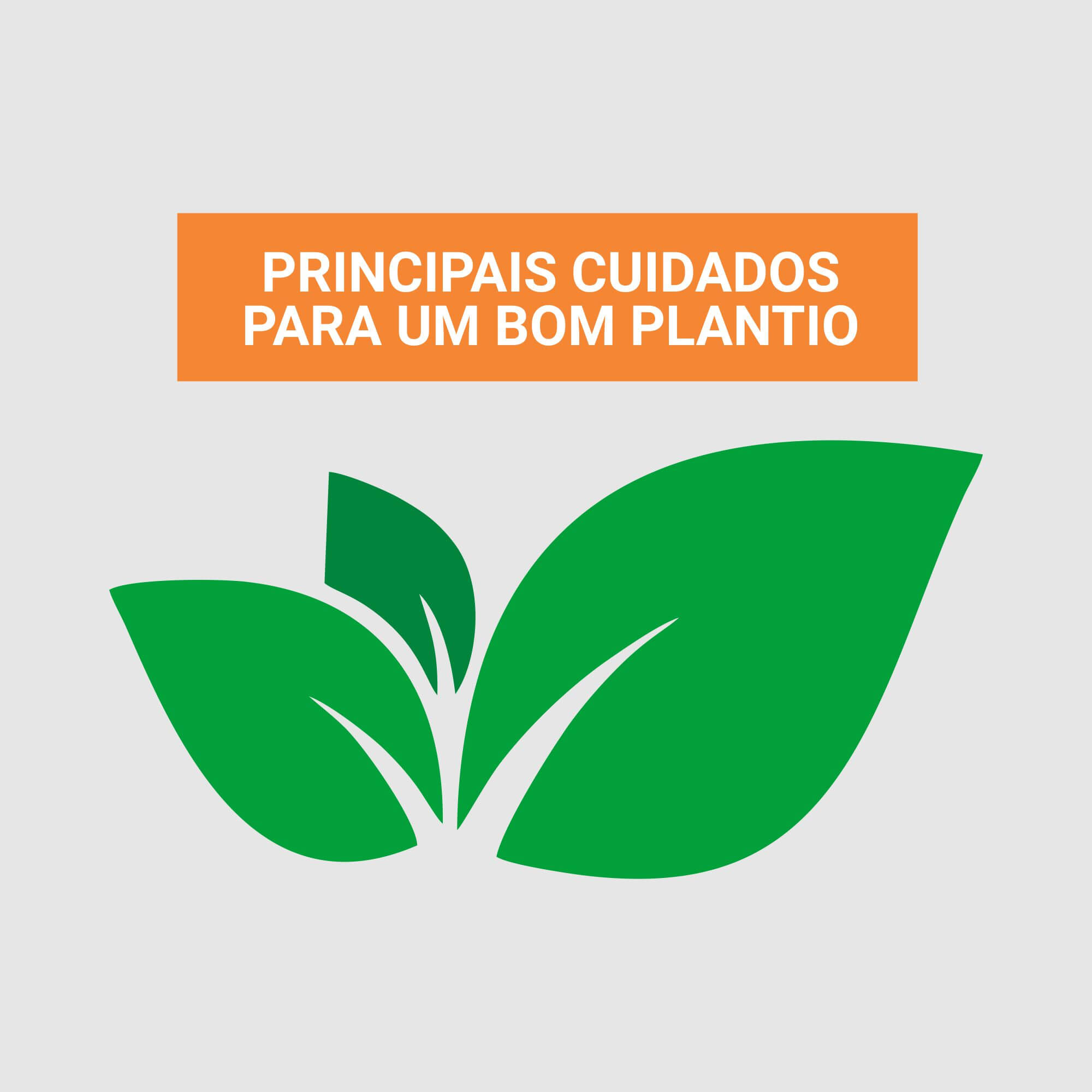 Dica 8